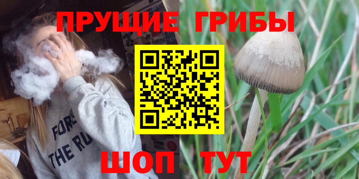 Псилоцибиновые грибы MAGIC MUSHROOMS  Вход с VPN  Кунгур 