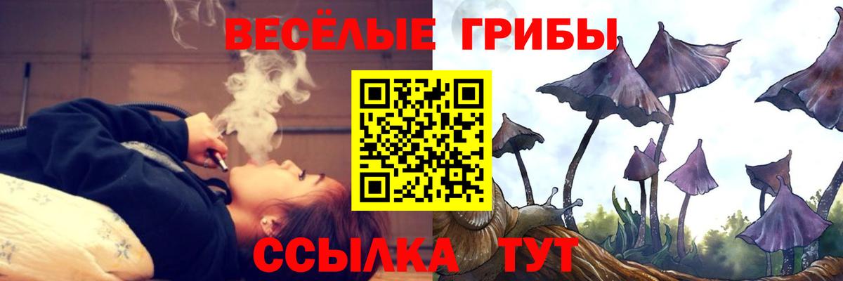 Псилоцибиновые грибы мицелий Кунгур